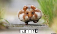 пути н гей