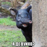  а де вуйко?