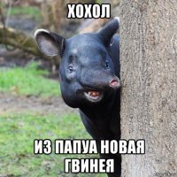 хохол из папуа новая гвинея