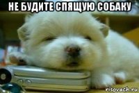 не будите спящую собаку 