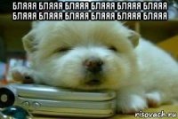 бляяя бляяя бляяя бляяя бляяя бляяя бляяя бляяя бляяя бляяя бляяя бляяя 