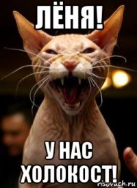 лёня! у нас холокост!