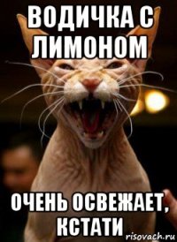 водичка с лимоном очень освежает, кстати