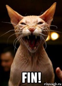  fin!