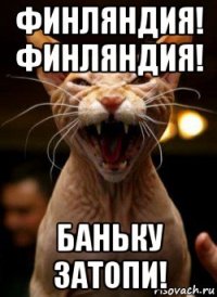 финляндия! финляндия! баньку затопи!