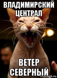 владимирский централ ветер северный