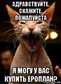здравствуйте. скажите, пожалуйста я могу у вас купить ероплан?