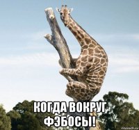  когда вокруг фэбосы!