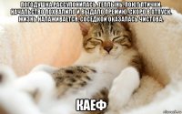 погодушка рассупонилась. теплынь. поют птички. начальство похвалило и выдало премию. скоро в отпуск. жизнь налаживается. соседкой оказалась чистова. каеф