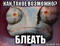 как такое возможно? блеать