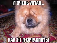 я очень устал... как же я хочу спать!