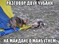 разговор двух чубакк на майдане о майбутнем