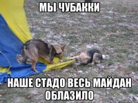 мы чубакки наше стадо весь майдан облазило