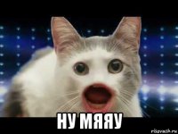  ну мяяу
