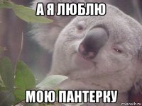 а я люблю мою пантерку