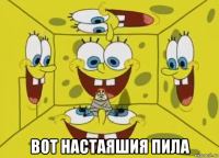 вот настаяшия пила