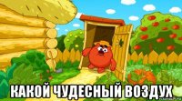  какой чудесный воздух