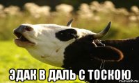  эдак в даль с тоскою