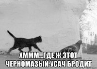  хммм...где ж этот черномазый усач бродит