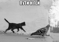пути н гей 