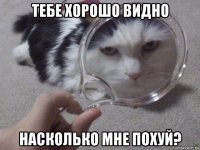 тебе хорошо видно насколько мне похуй?