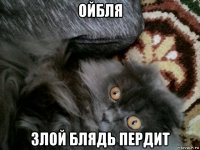 ойбля злой блядь пердит