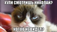 хули смотришь.николай? котов не видел?