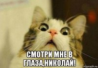  смотри мне в глаза,николай!
