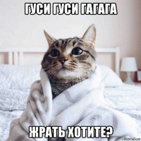 гуси гуси гагага жрать хотите?