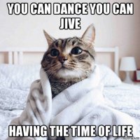 you can dance you can jive having the time of life