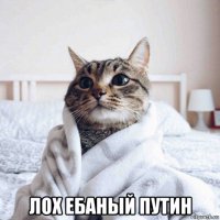  лох ебаный путин