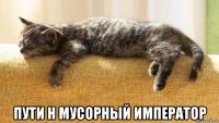  пути н мусорный император