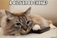 а футбол во скока? 