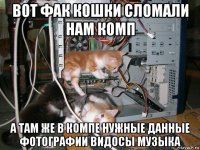 вот фак кошки сломали нам комп а там же в компе нужные данные фотографии видосы музыка