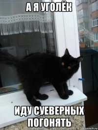 а я уголёк иду суеверных погонять