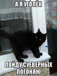 а я уголёк пойду суеверных погоняю
