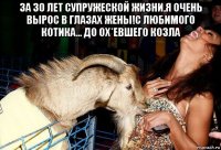 за 30 лет супружеской жизни,я очень вырос в глазах жены!с любимого котика... до ох*евшего козла 