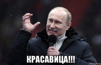  красавица!!!