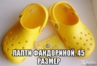  лапти фандориной. 45 размер