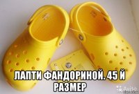  лапти фандориной. 45 й размер