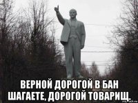  верной дорогой в бан шагаете, дорогой товарищ.