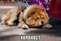  холокост