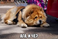 ага. и чё?