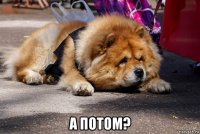  а потом?