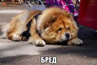  бред