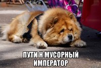  пути н мусорный император