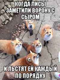 когда лисы заметили ворону с сыром и льстят ей каждый по порядку
