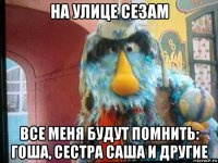 на улице сезам все меня будут помнить: гоша, сестра саша и другие