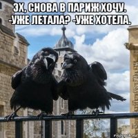 эх, снова в париж хочу. -уже летала? -уже хотела. 