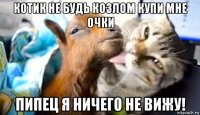 котик не будь козлом купи мне очки пипец я ничего не вижу!